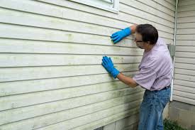 Best Siding Painting and Refinishing  in Truth Or Consequences, NM